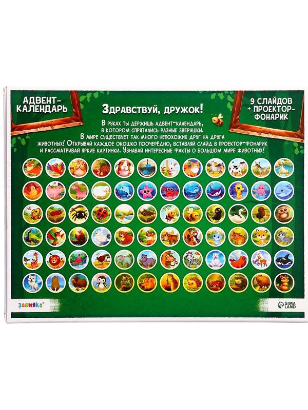 Адвент - календарь с проектором «Животные мира», 9 слайдов, 72 карточки
