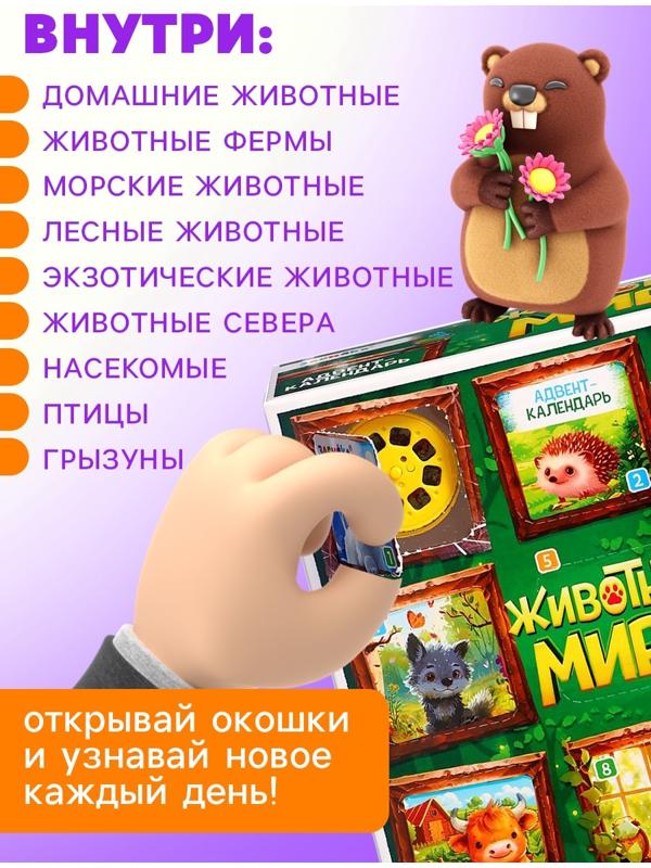 Адвент - календарь с проектором «Животные мира», 9 слайдов, 72 карточки