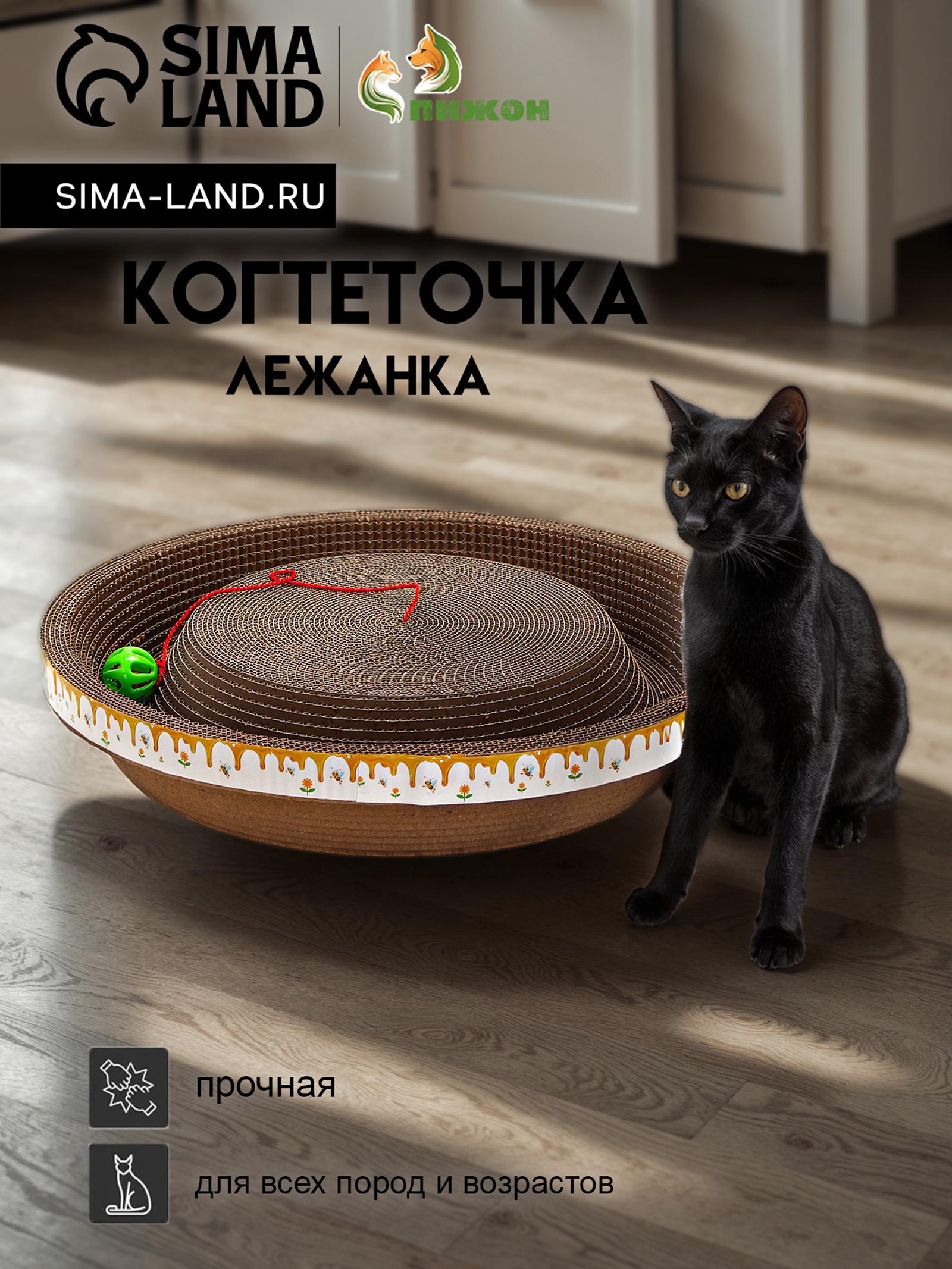 Когтеточка-лежанка 