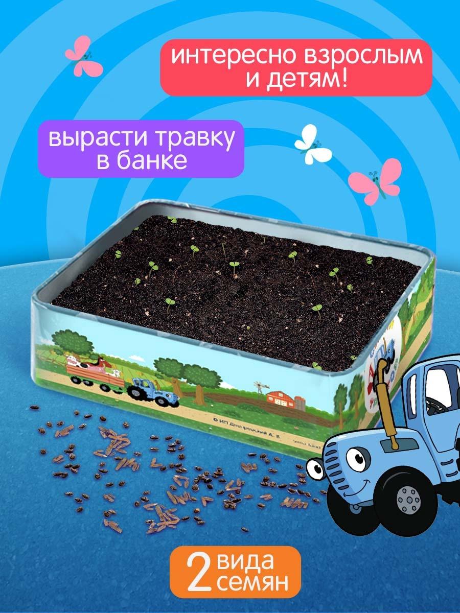 Набор для опытов Синий Трактор «Мой мини сад»