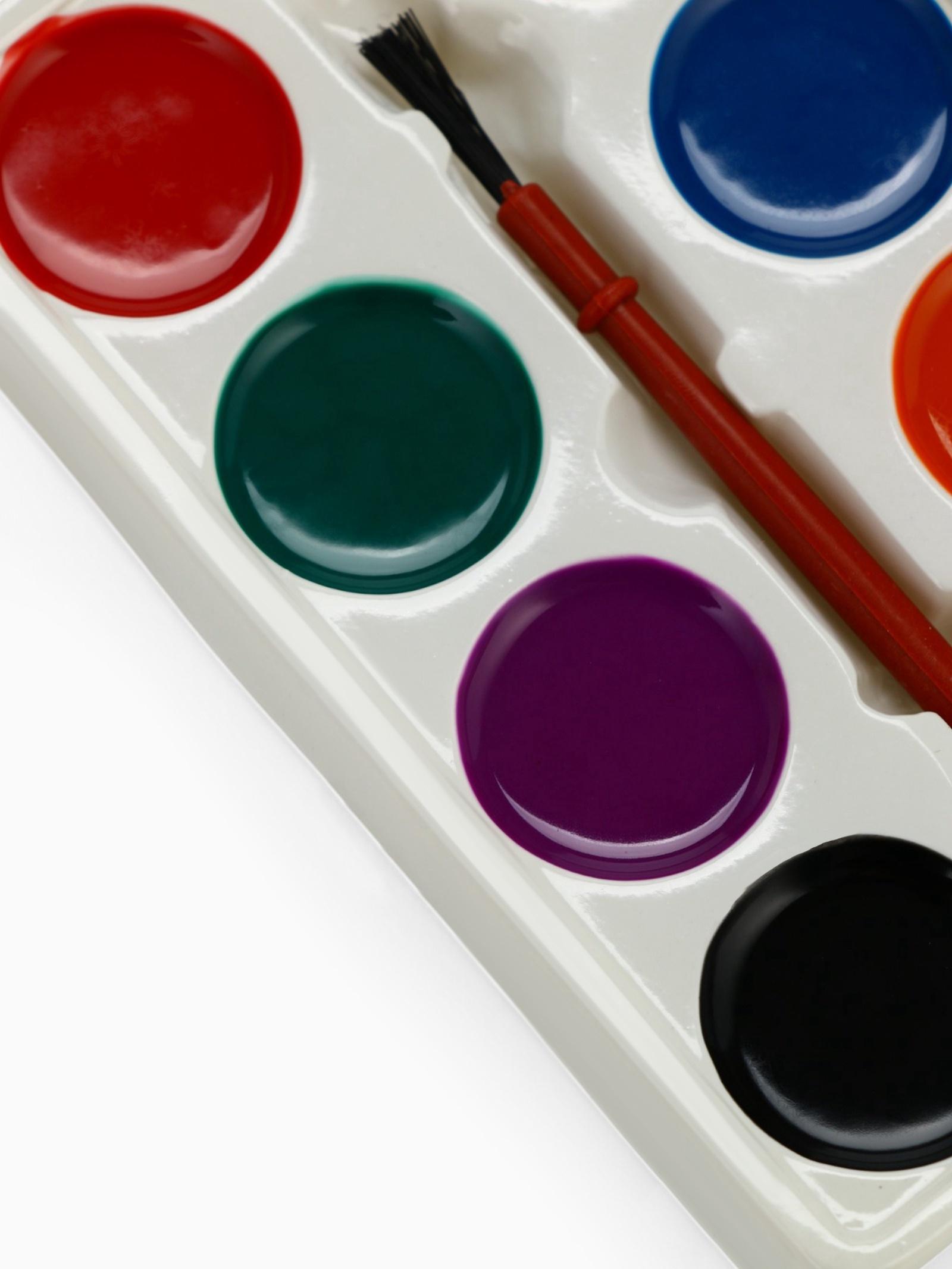 Набор для опытов Синий Трактор «Мой мини сад»