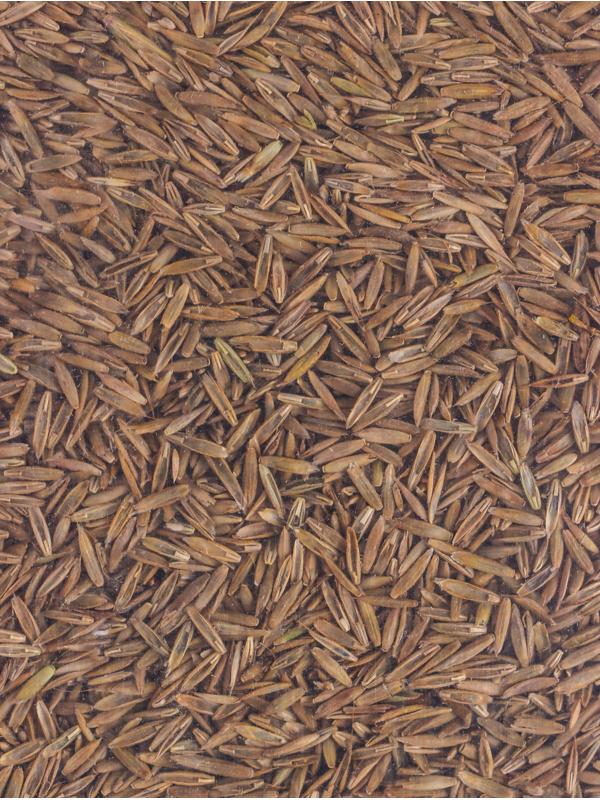 Газон Микс «Мой Выбор» травосмесь, 5 кг