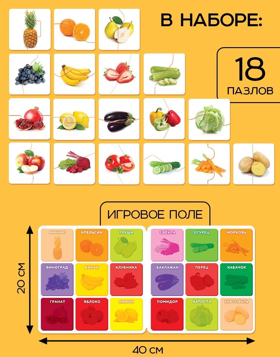 Магнитные макси - пазлы половинки «Фрукты и овощи», 18 пазлов, 36 деталей
