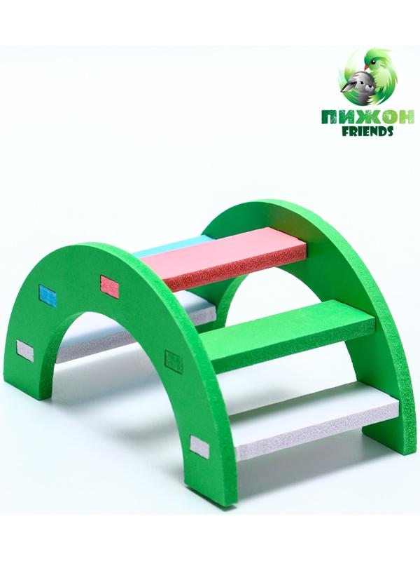 Лесенка для грызунов с цветными ступеньками, зеленый