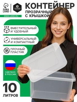 Ящик пластиковый для хранения, с крышкой, объём — 10 л, прозрачно-матовый