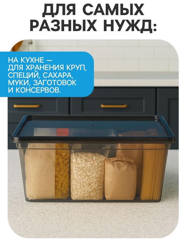 Ящик пластиковый для хранения, с крышкой, объём — 16 л, прозрачно-чёрный