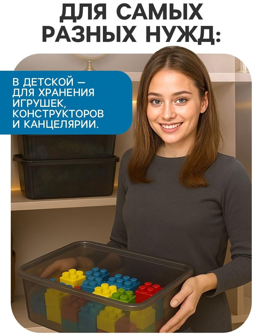 Ящик пластиковый для хранения, с крышкой, объём — 10 л, прозрачно-чёрный