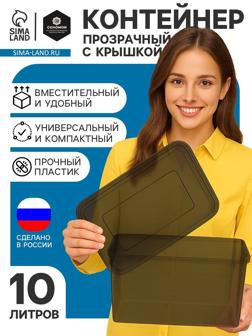 Ящик пластиковый для хранения, с крышкой, объём — 10 л, прозрачно-чёрный
