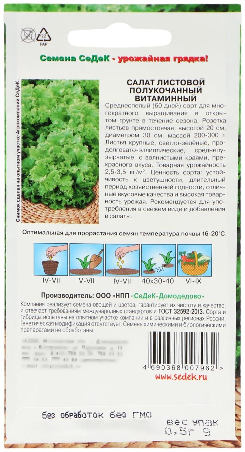 Семена Салат 