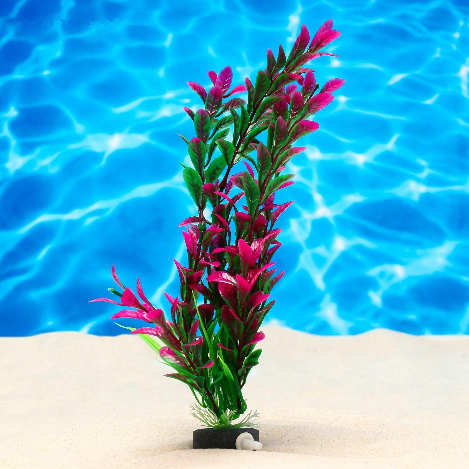 Растение искусственное