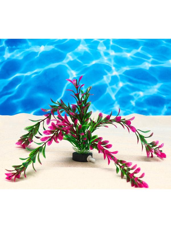 Растение искусственное