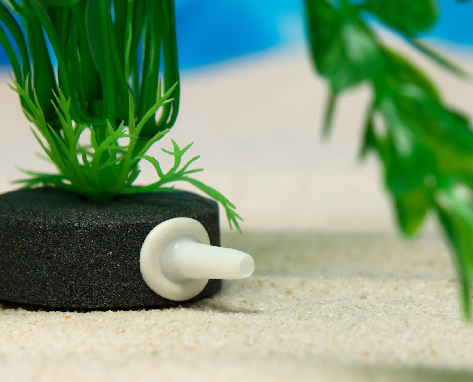 Растение искусственное