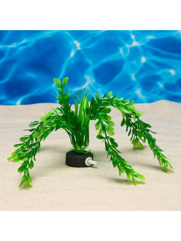 Растение искусственное