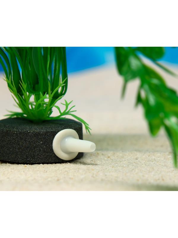 Растение искусственное