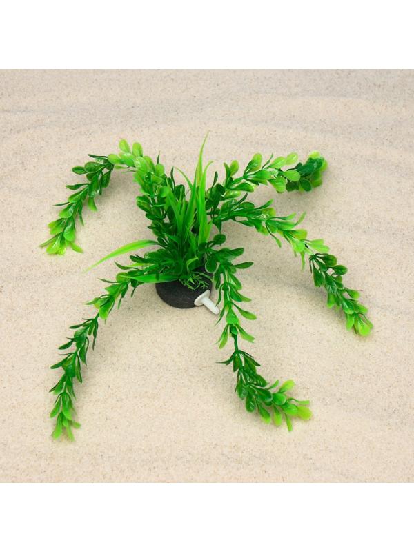 Растение искусственное