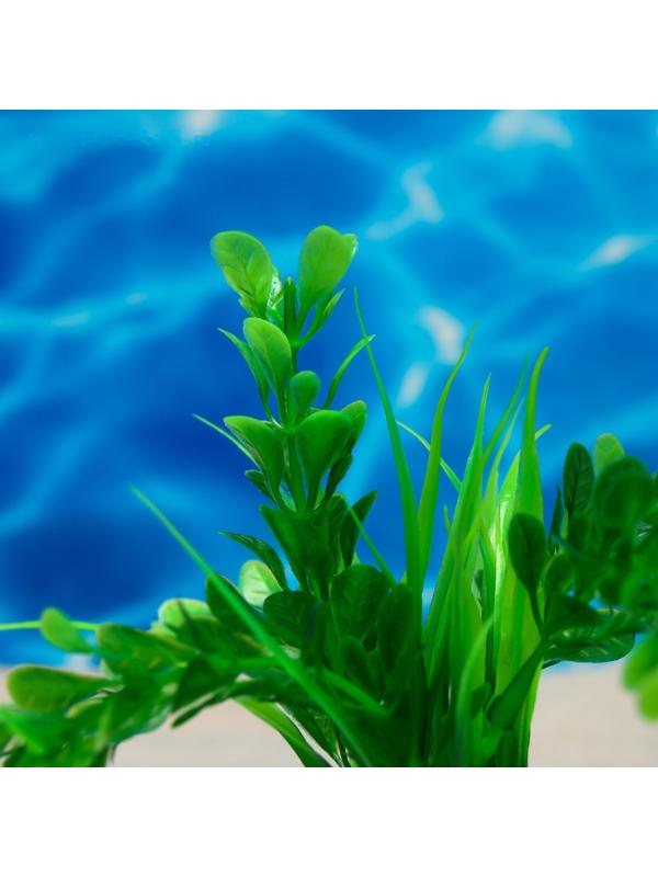 Растение искусственное