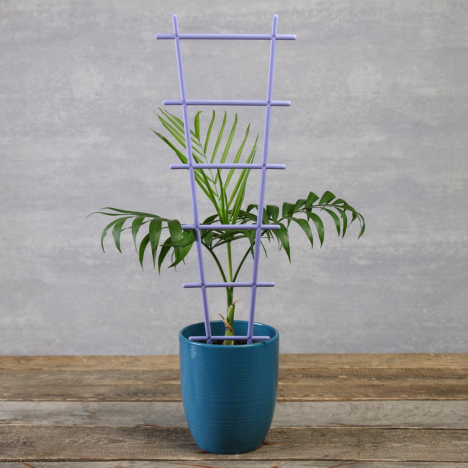 Шпалера, 56×19×0.5 см, пластик, цвет МИКС, «Лесенка»