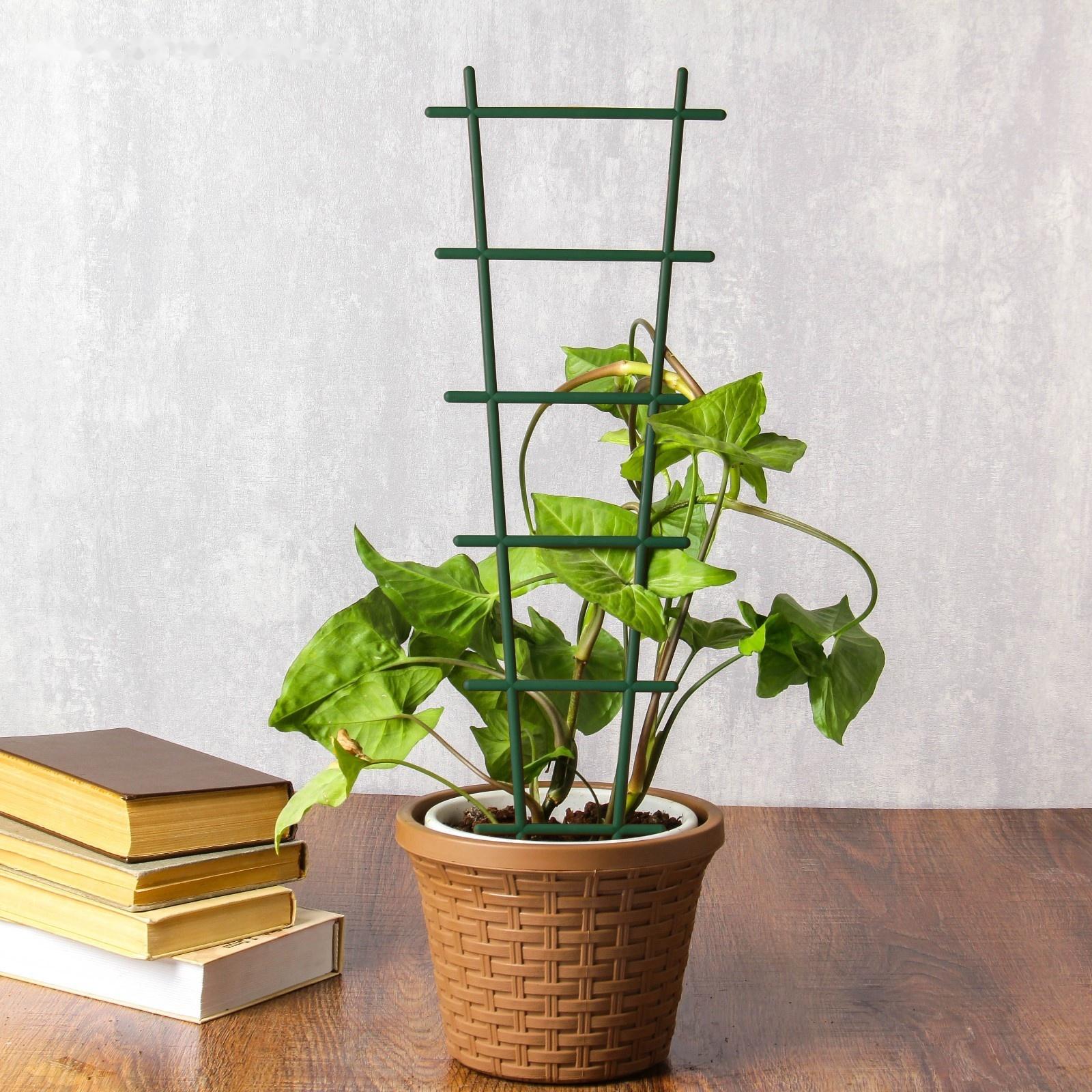 Шпалера, 56×19×0.5 см, пластик, цвет МИКС, «Лесенка»