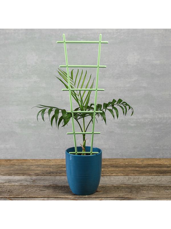 Шпалера, 56×19×0.5 см, пластик, цвет МИКС, «Лесенка»