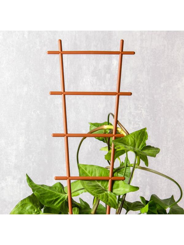 Шпалера, 56×19×0.5 см, пластик, цвет МИКС, «Лесенка»