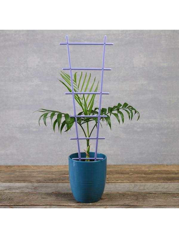 Шпалера, 56×19×0.5 см, пластик, цвет МИКС, «Лесенка»