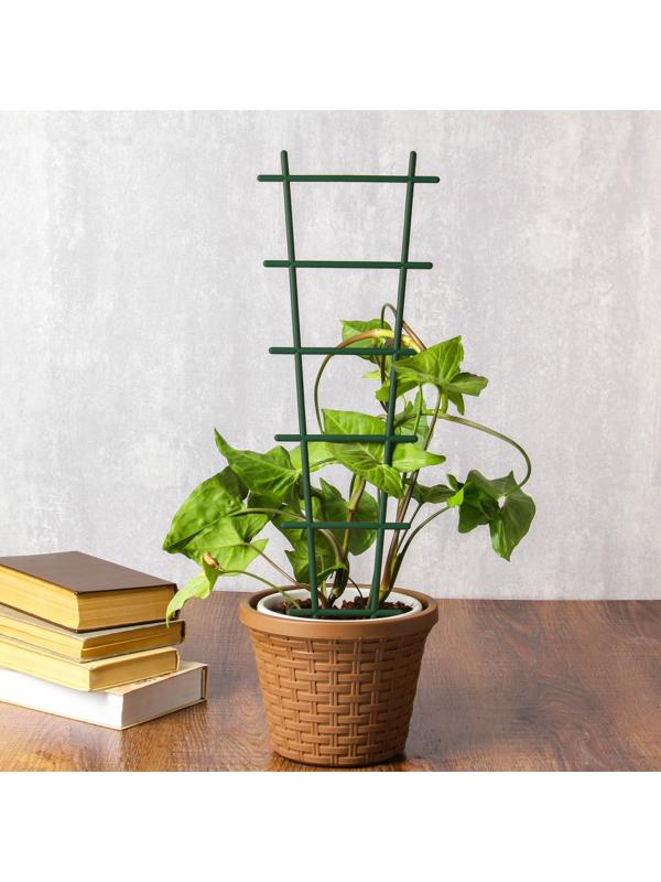 Шпалера, 56×19×0.5 см, пластик, цвет МИКС, «Лесенка»