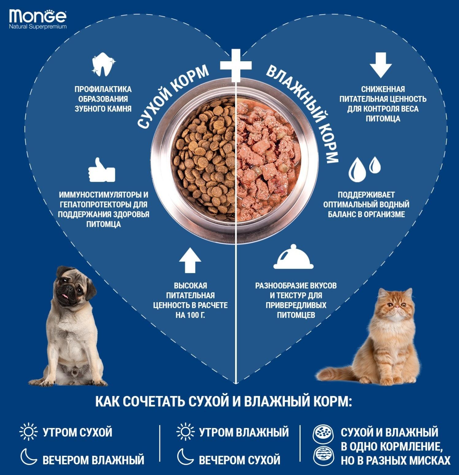 Сухой корм Monge Dog Speciality Puppy&Junior для щенков, ягненок/рис/ картофель, 12 кг
