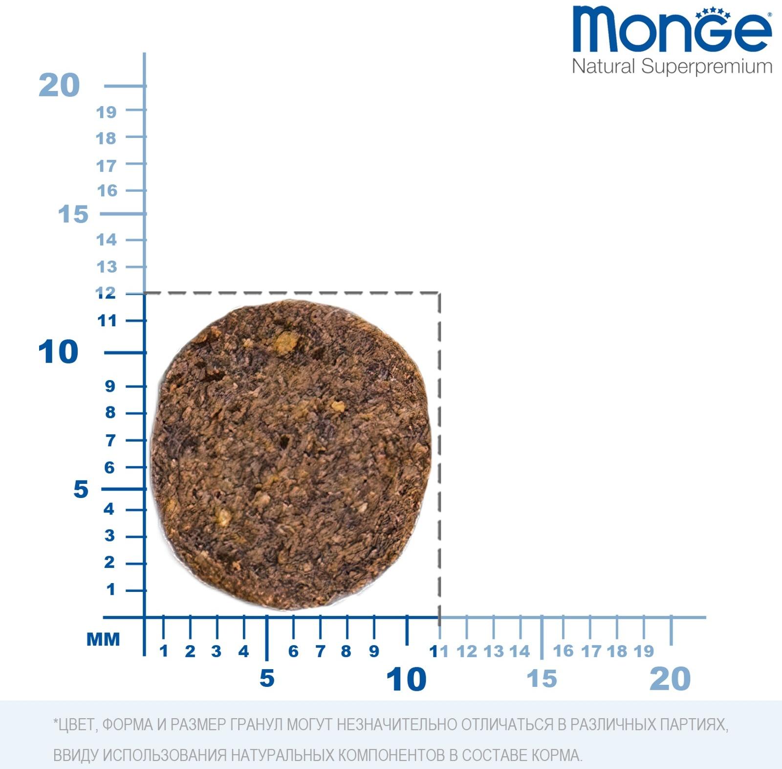 Сухой корм Monge Dog Speciality Puppy&Junior для щенков всех пород, лосось/рис, 12 кг