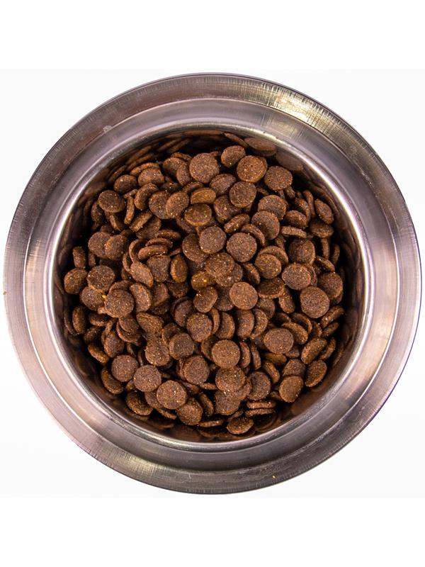 Сухой корм Monge Dog Speciality Puppy&Junior для щенков всех пород, лосось/рис, 12 кг