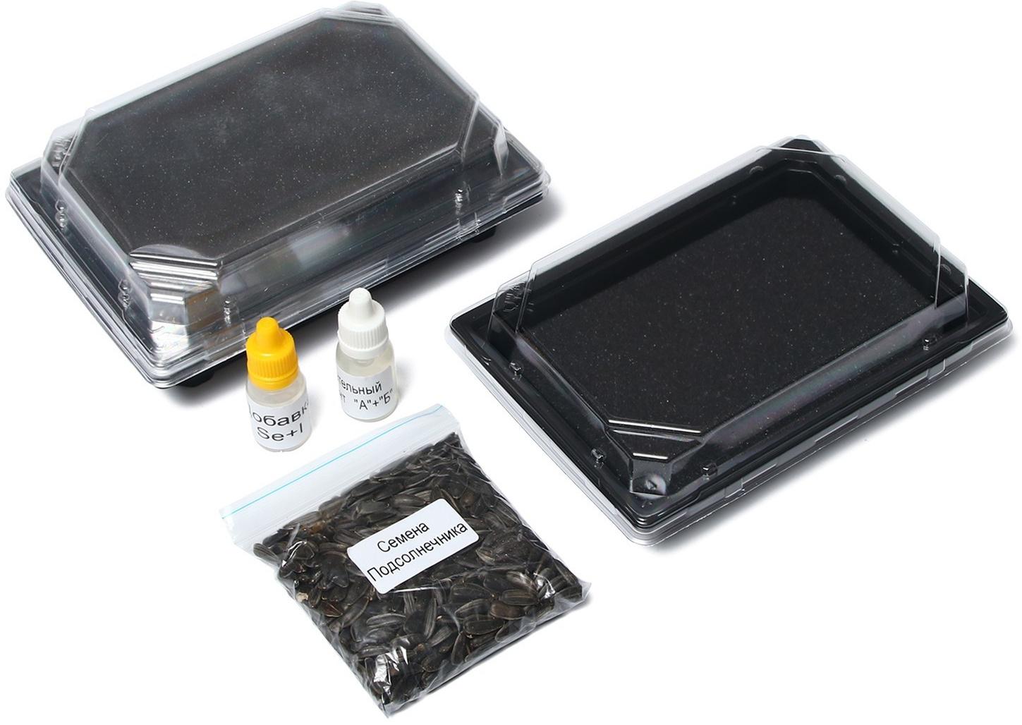 Набор для выращивания микрозелени Vegebox, 5 лотков, подсолнечник