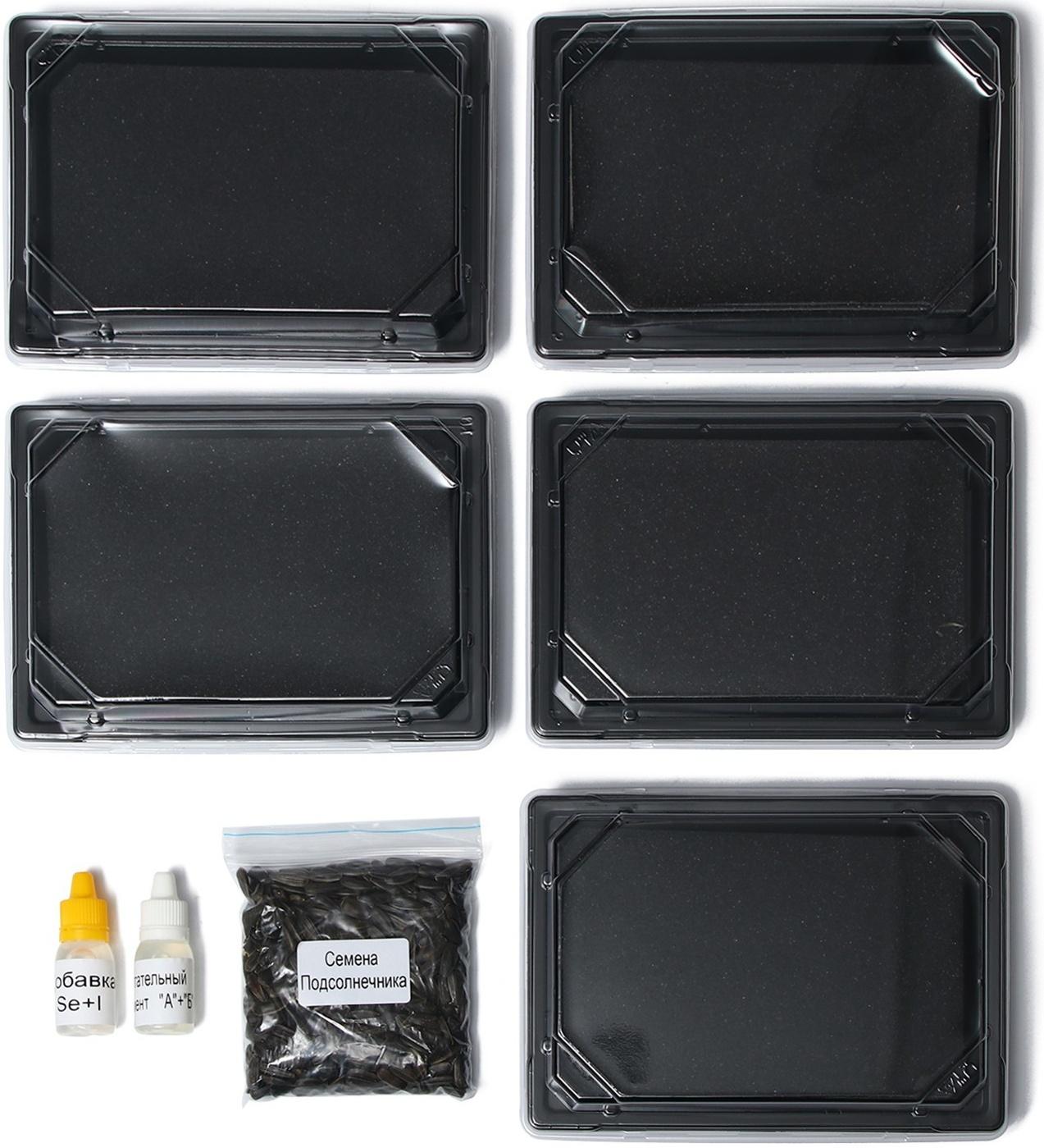 Набор для выращивания микрозелени Vegebox, 5 лотков, подсолнечник