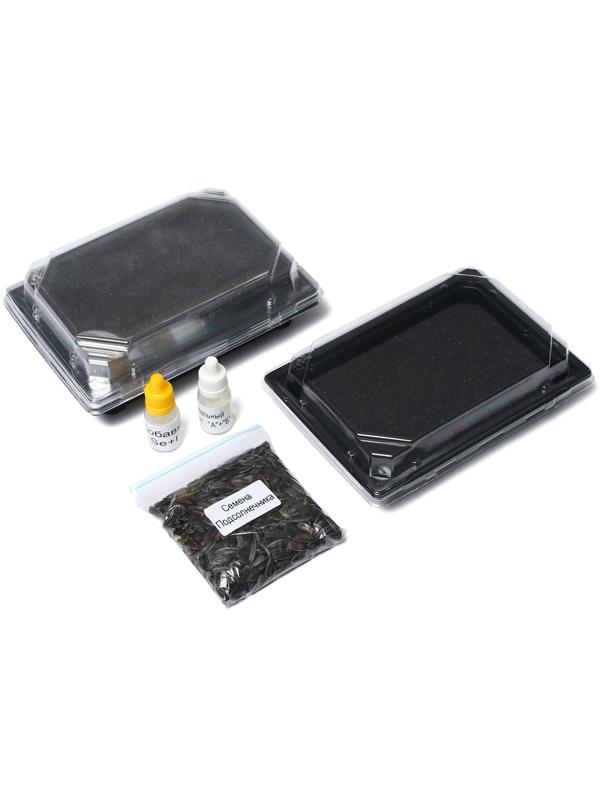 Набор для выращивания микрозелени Vegebox, 5 лотков, подсолнечник