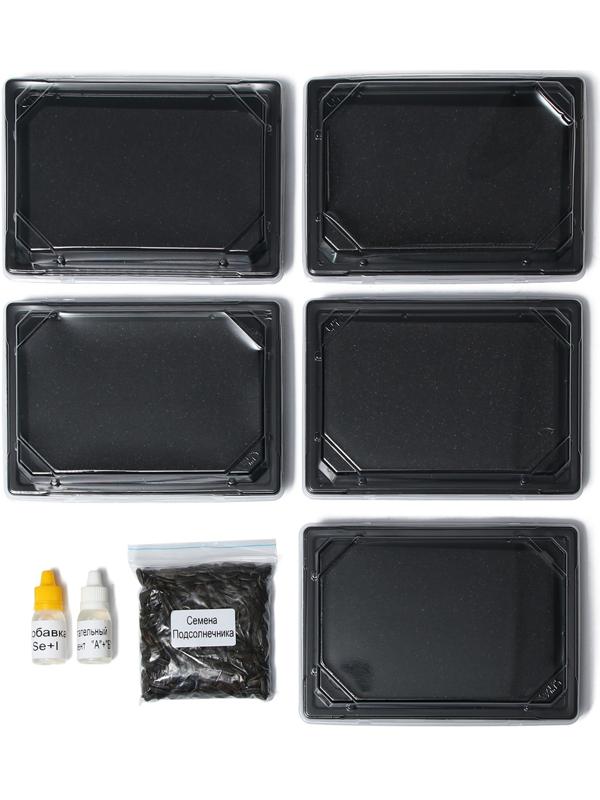 Набор для выращивания микрозелени Vegebox, 5 лотков, подсолнечник