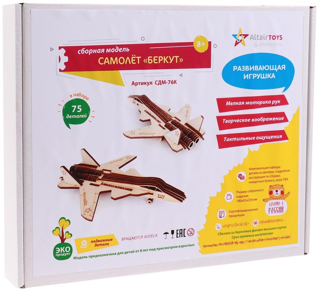 Сборння модель «Самолёт. Беркут»