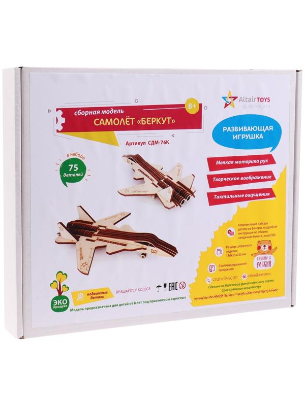 Сборння модель «Самолёт. Беркут»