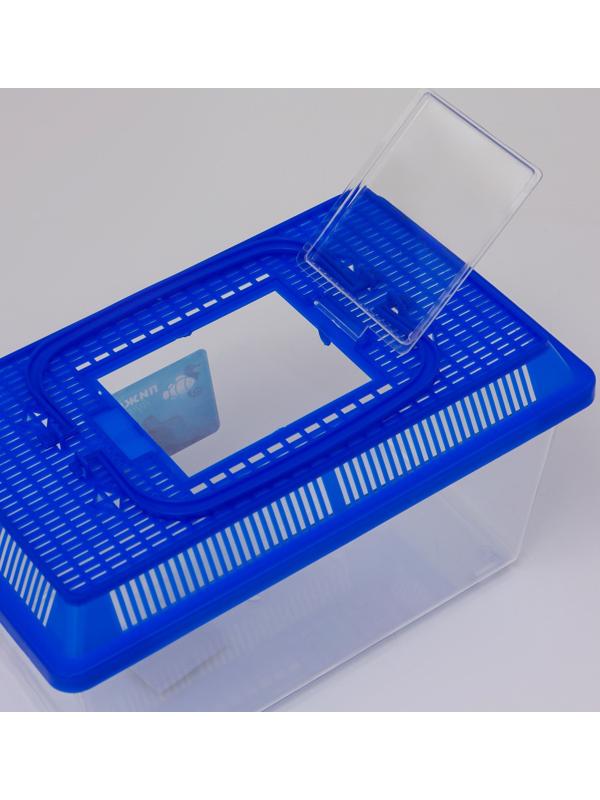 Переноска прямоугольная, 26.5×16.5×17 см, голубой