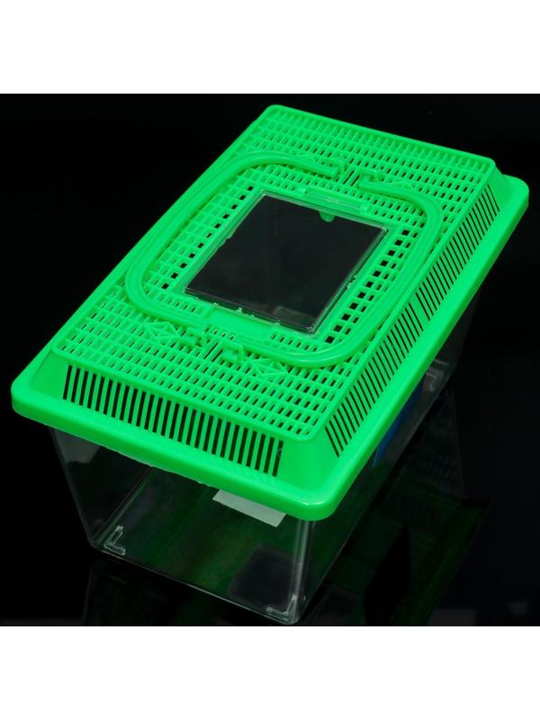 Переноска прямоугольная, 26.5×16.5×17 см, зелёный