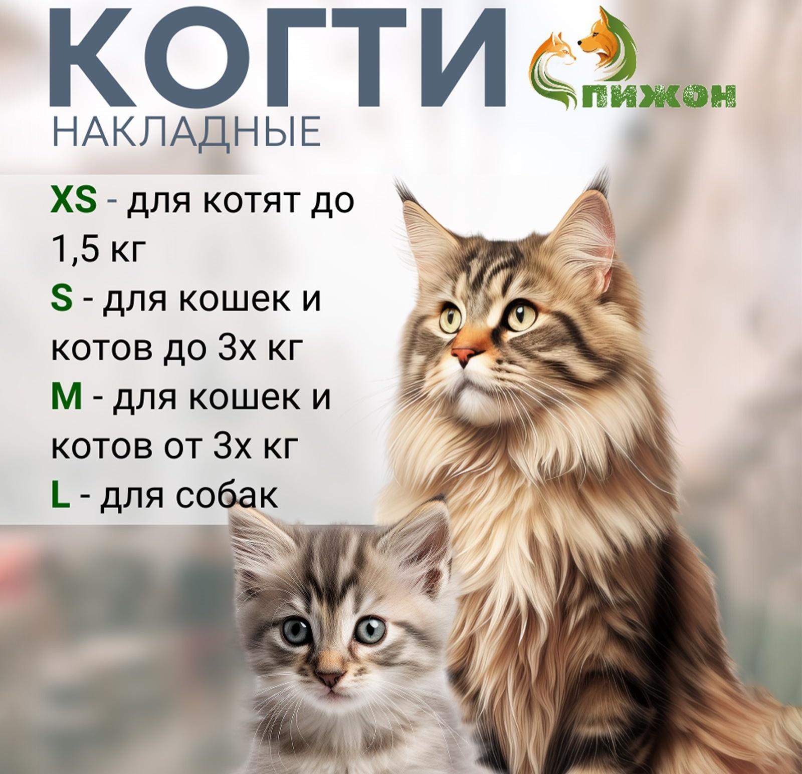 Когти накладные «Антицарапки» (20 шт.), размер XS, золотые с блестками