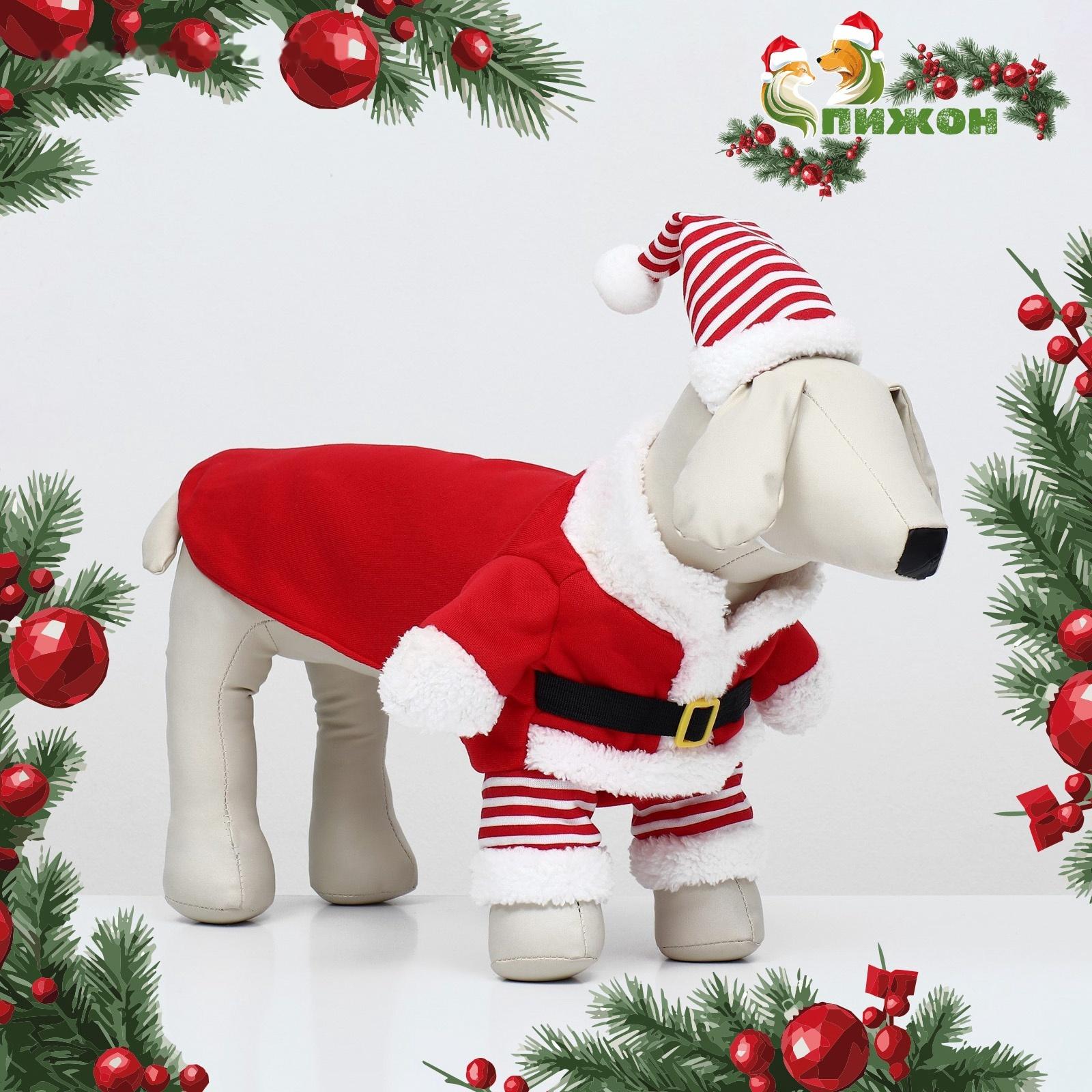 Новогодний костюм для собак «Клаус», размер 2XL (ДС 45, ОГ 55 см)