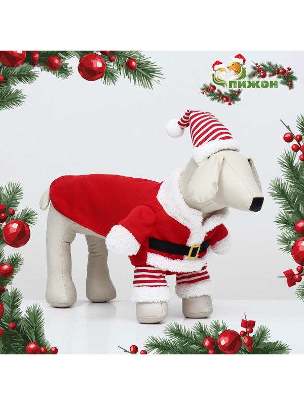 Новогодний костюм для собак «Клаус», размер 2XL (ДС 45, ОГ 55 см)