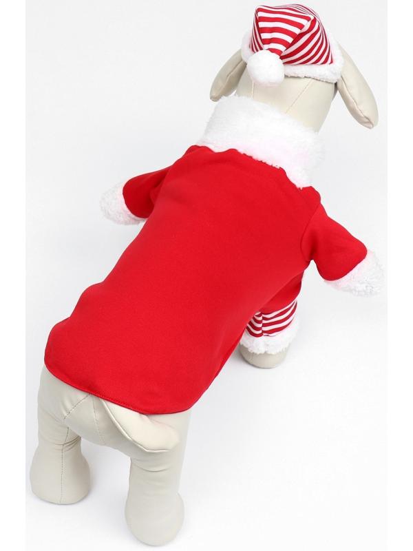 Новогодний костюм для собак «Клаус», размер 2XL (ДС 45, ОГ 55 см)