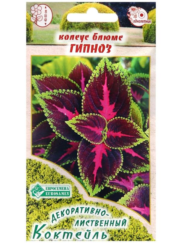 Семена Колеус блюме 