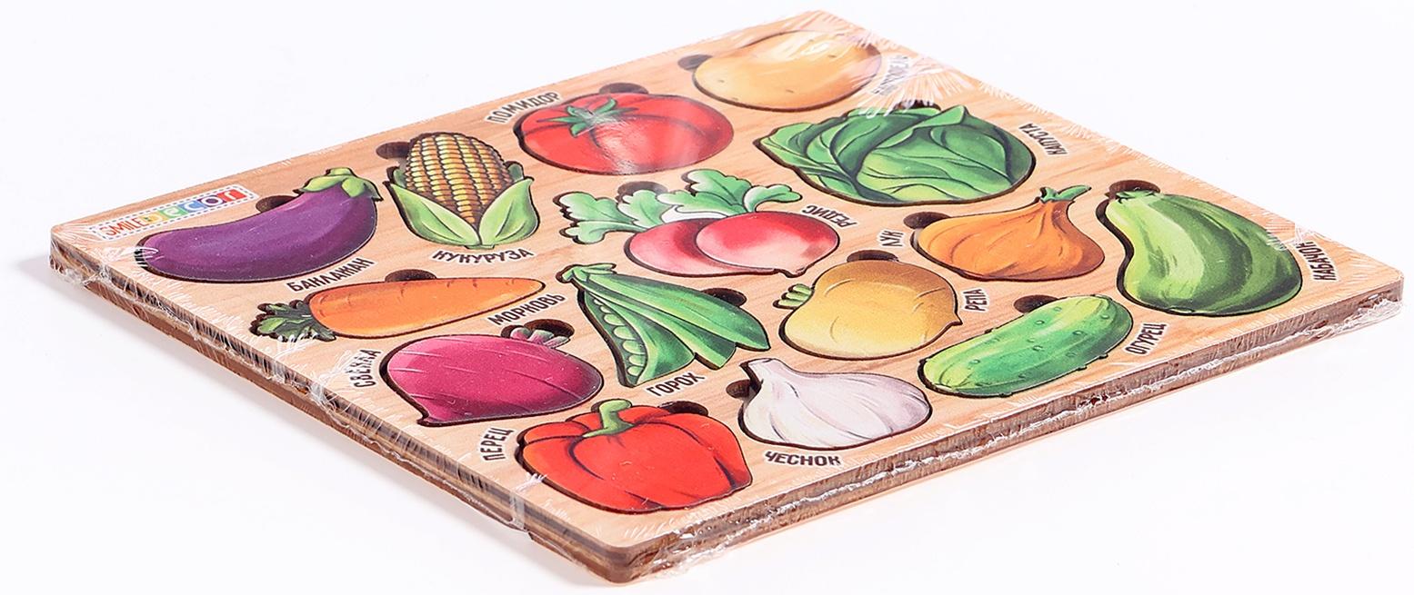 Рамки-вкладыши «Продуктовый магазин. Овощи»