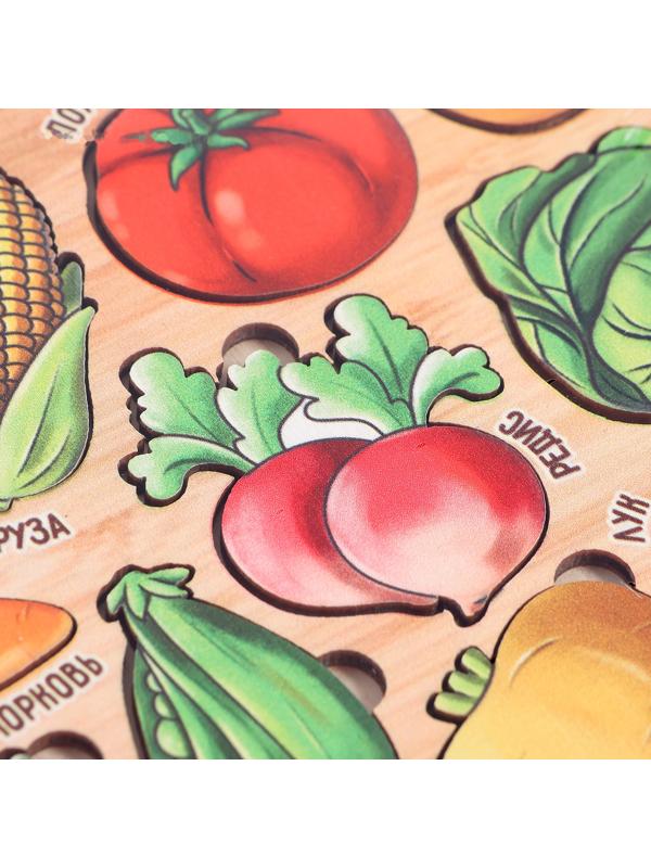 Рамки-вкладыши «Продуктовый магазин. Овощи»