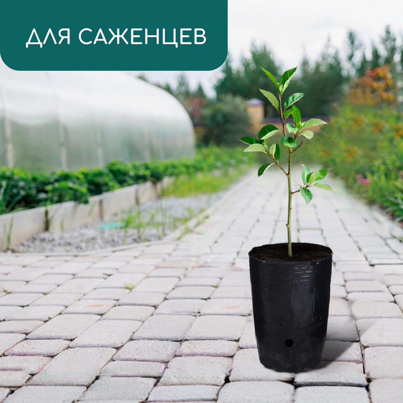 Пакет для рассады, 1.5 л, d=13 см, h=18 см, полиэтилен, чёрный, Greengo