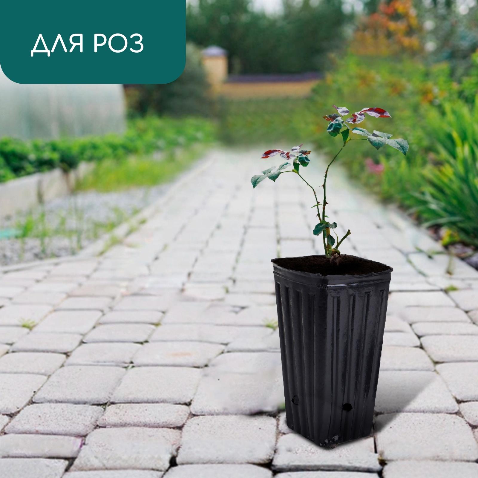 Пакет для рассады, 1.5 л, 11×11 см, h=20 см, полиэтилен, чёрный, Greengo