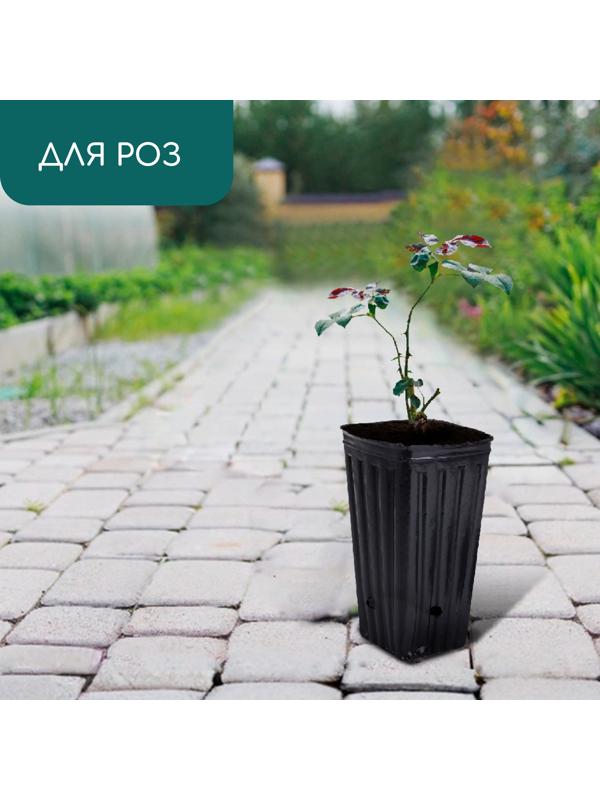 Пакет для рассады, 1.5 л, 11×11 см, h=20 см, полиэтилен, чёрный, Greengo