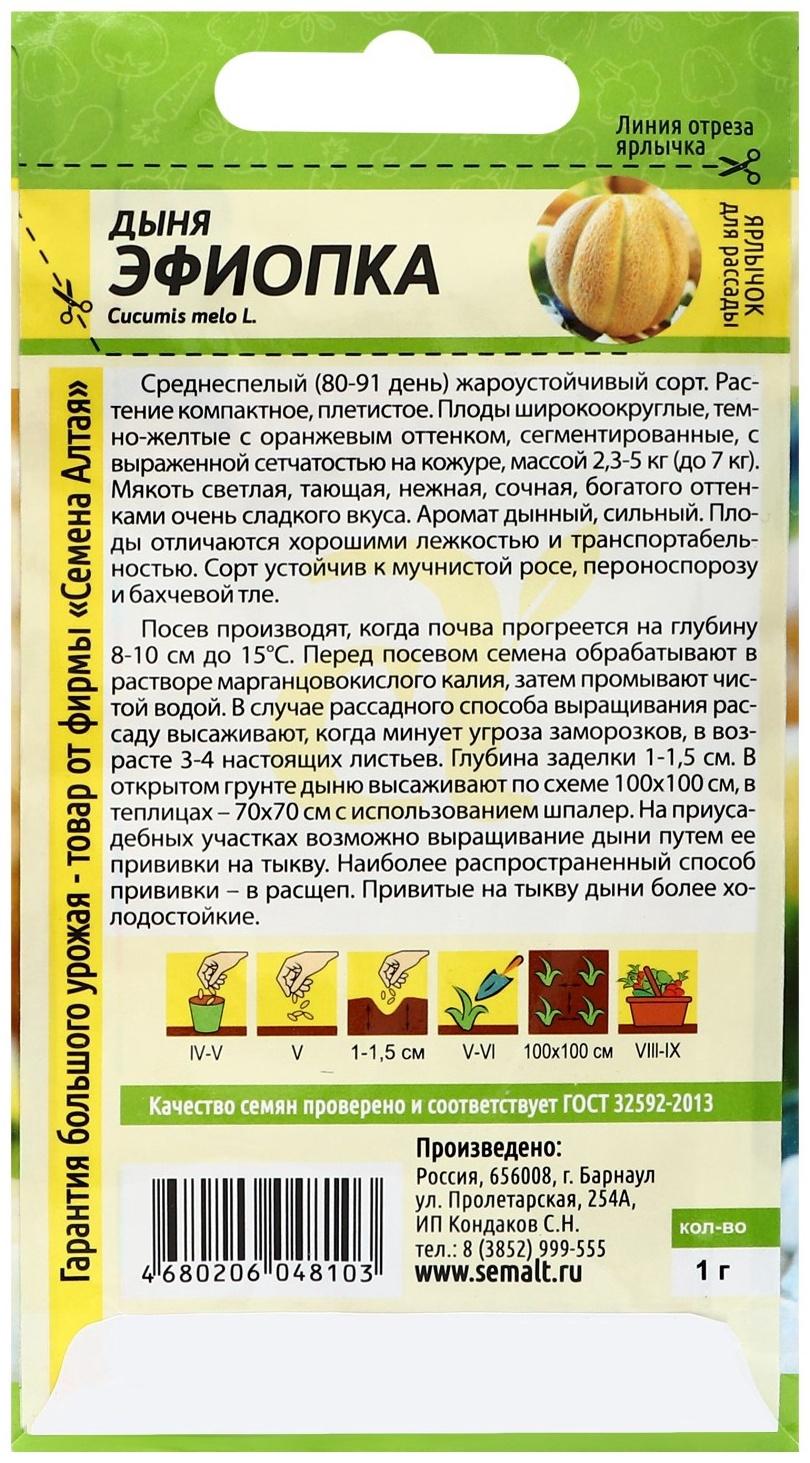 Семена Дыня Эфиопка, ц/п, 1 г.