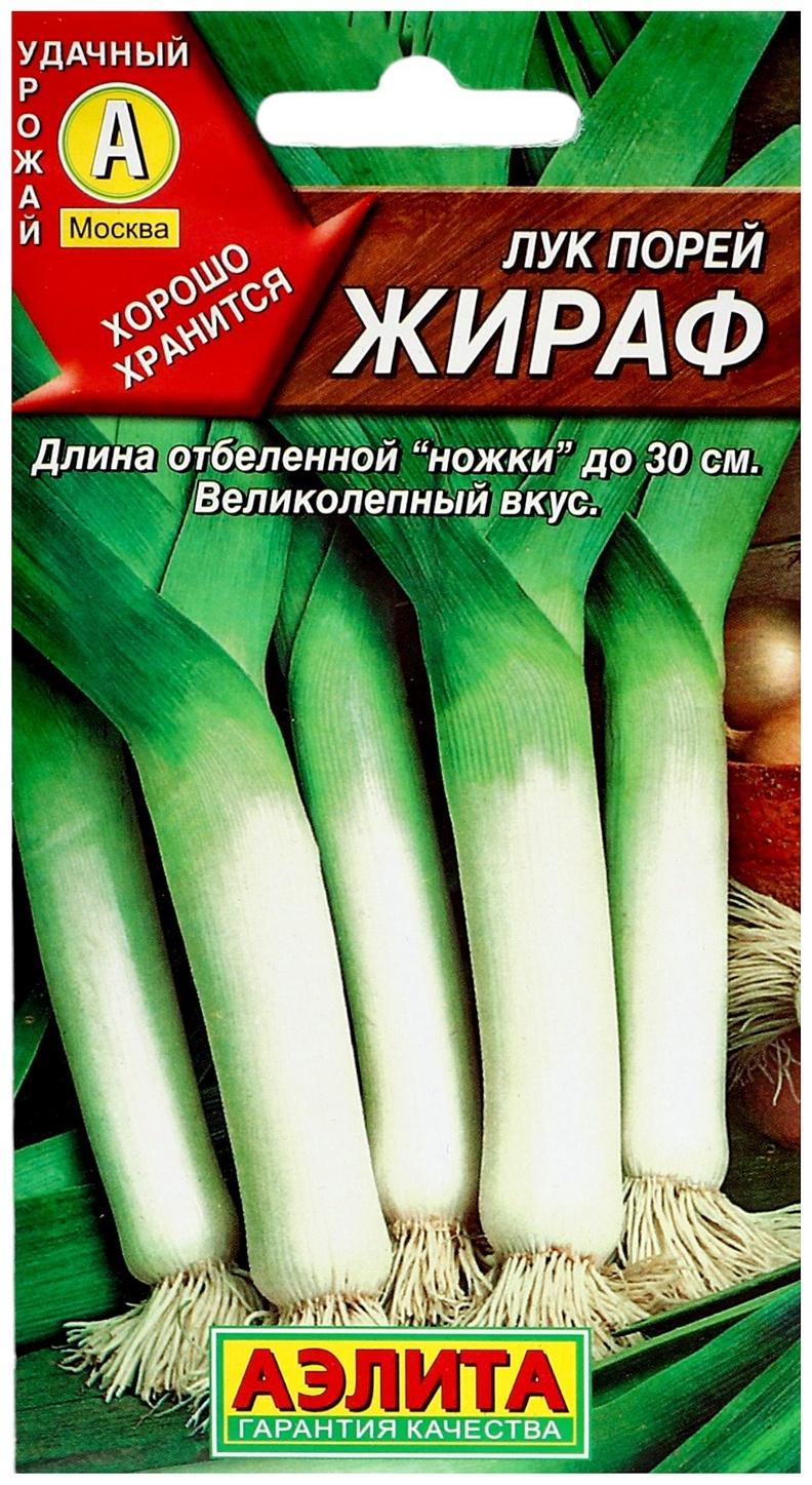 Семена Лук порей 