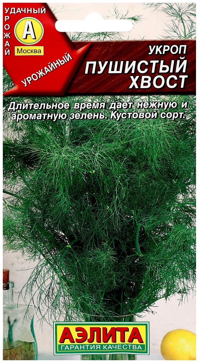 Семена Укроп 